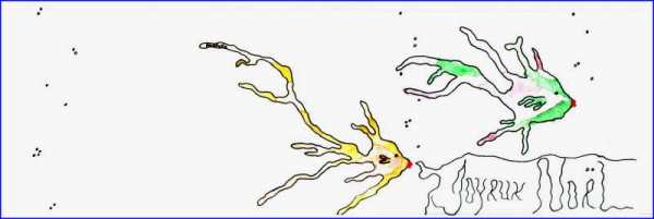 Fish card by P. Smith