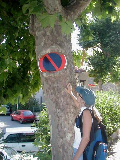 Overgrown parking sign